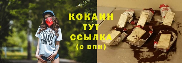 тгк Дмитров