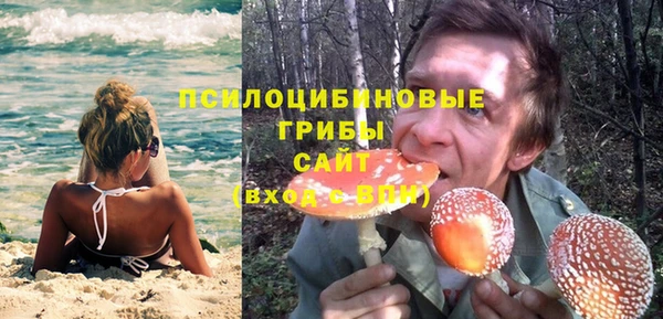 скорость Дмитриев