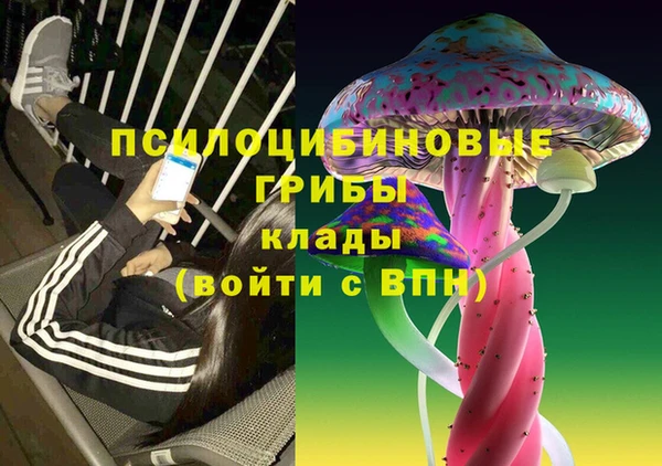 скорость Дмитриев