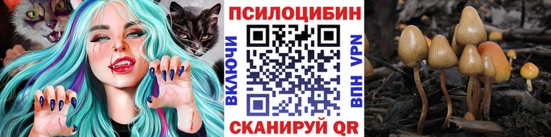 Купить закладки  Чайковский  Псилоцибиновые грибы ЛСД 